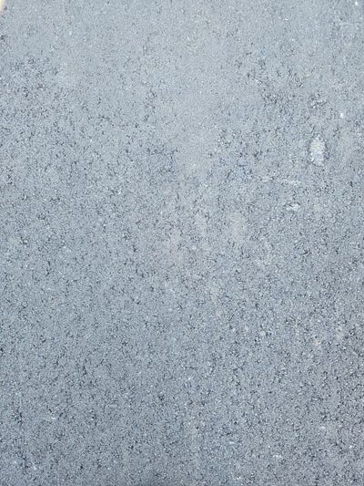 2025 FOREST RIVER AURORA Base